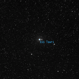 DSS image of 111 Tauri
