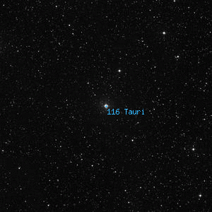 DSS image of 116 Tauri