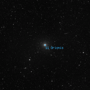 DSS image of 11 Orionis
