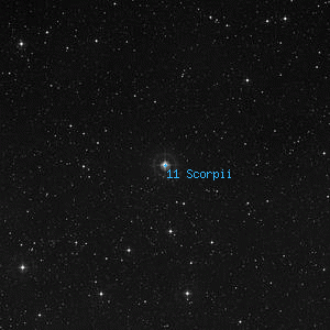 DSS image of 11 Scorpii