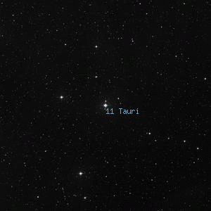 DSS image of 11 Tauri