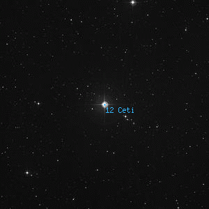 DSS image of 12 Ceti