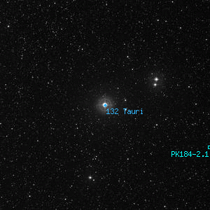 DSS image of 132 Tauri