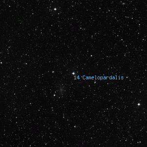 DSS image of 14 Camelopardalis