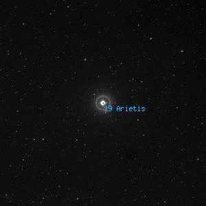 DSS image of 19 Arietis