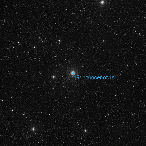 DSS image of 19 Monocerotis