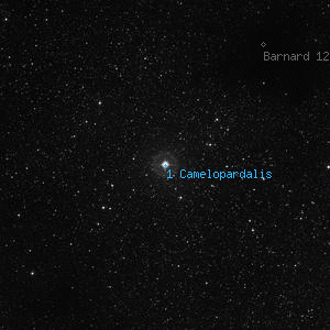 DSS image of 1 Camelopardalis