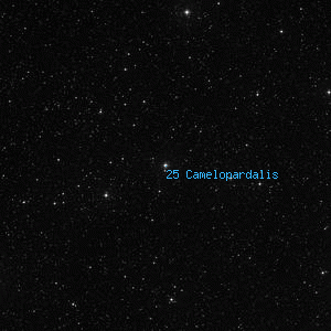 DSS image of 25 Camelopardalis