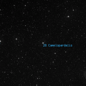 DSS image of 28 Camelopardalis