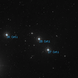 DSS image of 28 Ceti