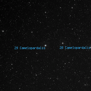 DSS image of 29 Camelopardalis