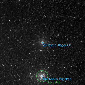 DSS image of 29 Canis Majoris