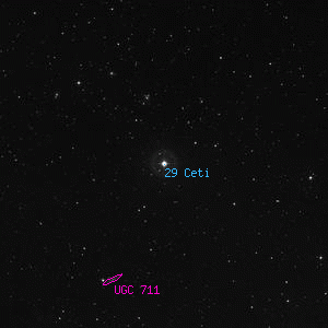 DSS image of 29 Ceti
