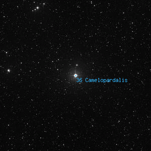 DSS image of 36 Camelopardalis