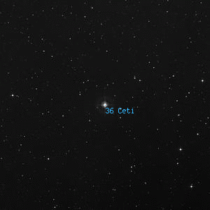 DSS image of 36 Ceti