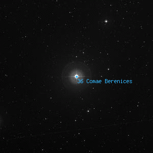 DSS image of 36 Comae Berenices