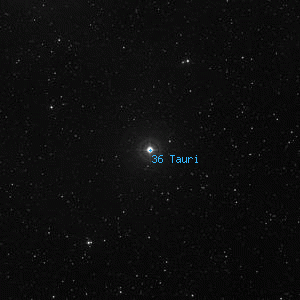 DSS image of 36 Tauri
