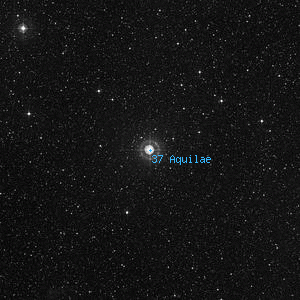 DSS image of 37 Aquilae