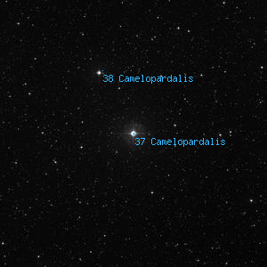 DSS image of 37 Camelopardalis