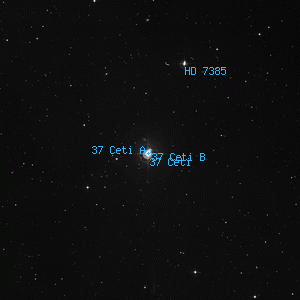DSS image of 37 Ceti B