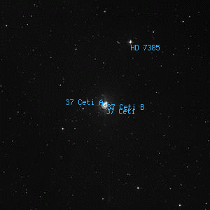 DSS image of 37 Ceti