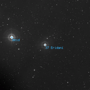 DSS image of 37 Eridani
