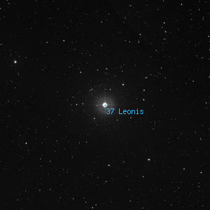 DSS image of 37 Leonis
