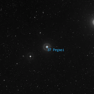 DSS image of 37 Pegasi