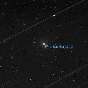 DSS image of 37 Ursae Majoris