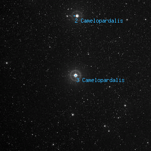 DSS image of 3 Camelopardalis