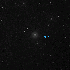 DSS image of 40 Arietis