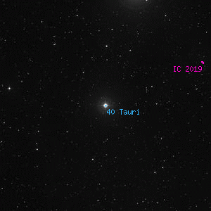 DSS image of 40 Tauri