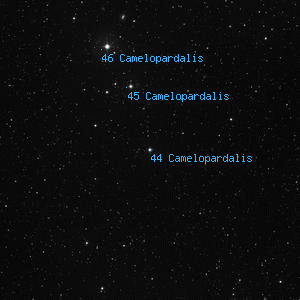 DSS image of 44 Camelopardalis