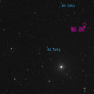 DSS image of 61 Ceti