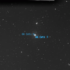 DSS image of 66 Ceti A