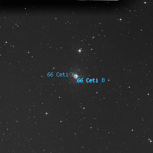 DSS image of 66 Ceti B