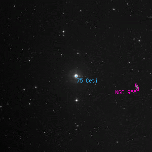 DSS image of 75 Ceti