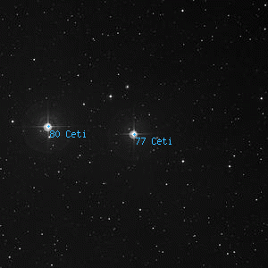 DSS image of 77 Ceti