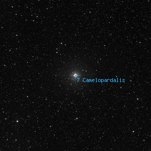 DSS image of 7 Camelopardalis