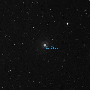 DSS image of 81 Ceti