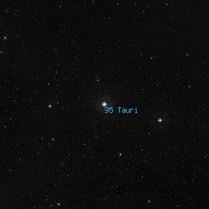 DSS image of 95 Tauri