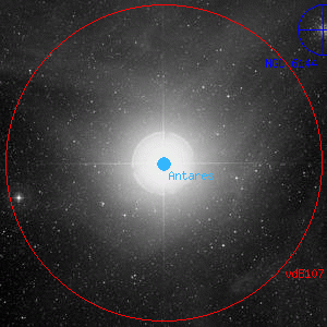 DSS image of Antares