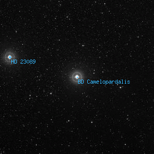 DSS image of BD Camelopardalis