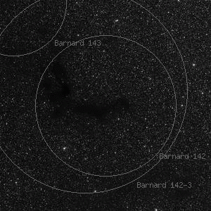 DSS image of Barnard 142
