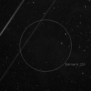 DSS image of Barnard 210