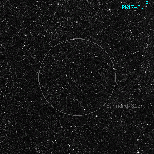 DSS image of Barnard 313