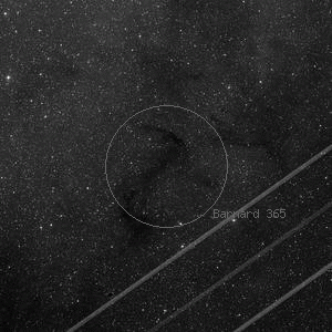 DSS image of Barnard 365