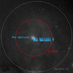 DSS image of Barnard 42