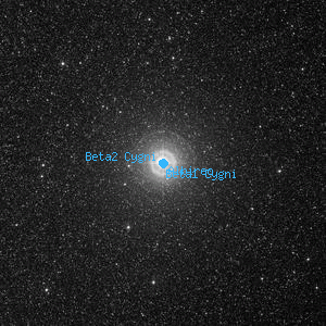 DSS image of Beta1 Cygni
