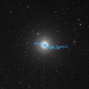 DSS image of Beta2 Scorpii